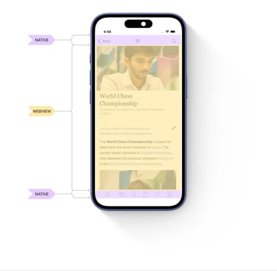 Mobile screen view of a Wikipedia page detailing which sections are native development and which are WebView