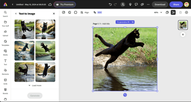 Screenshot of image of a black cat in mid-jump over water